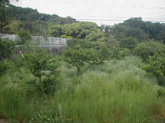 naginatagaya-30.jpg (64329 �o�C�g)