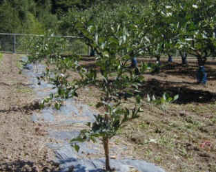 sudati-17.jpg (52169 �o�C�g)