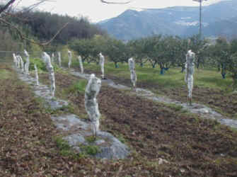 sudati-19.jpg (39833 �o�C�g)