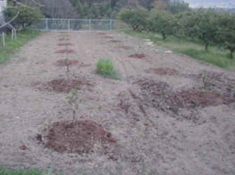 sudati-4.jpg (32810 �o�C�g)