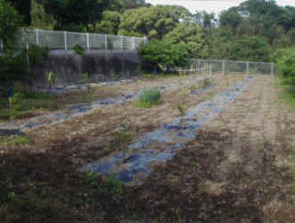 sudati-6.jpg (37349 �o�C�g)